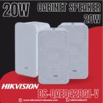 Analog Speaker DS-QAE0420G1-V